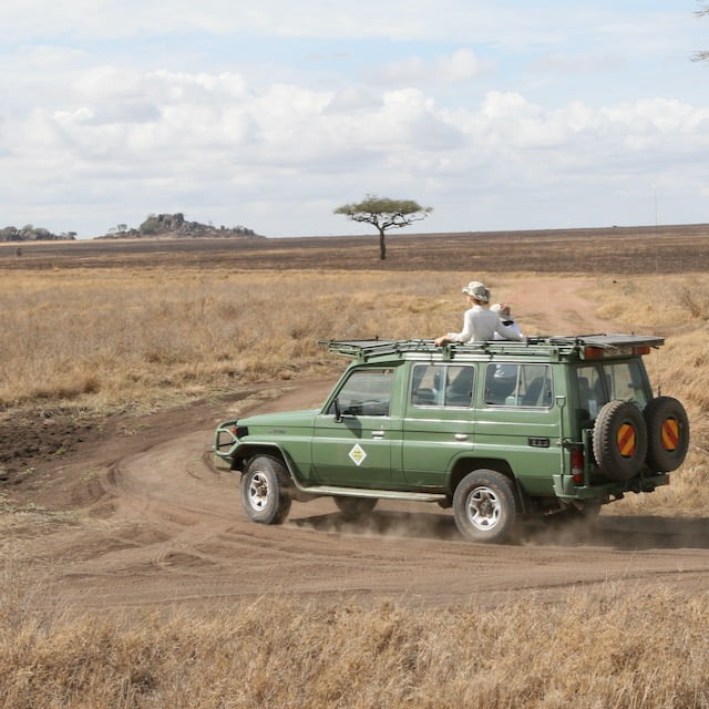 Serengeti