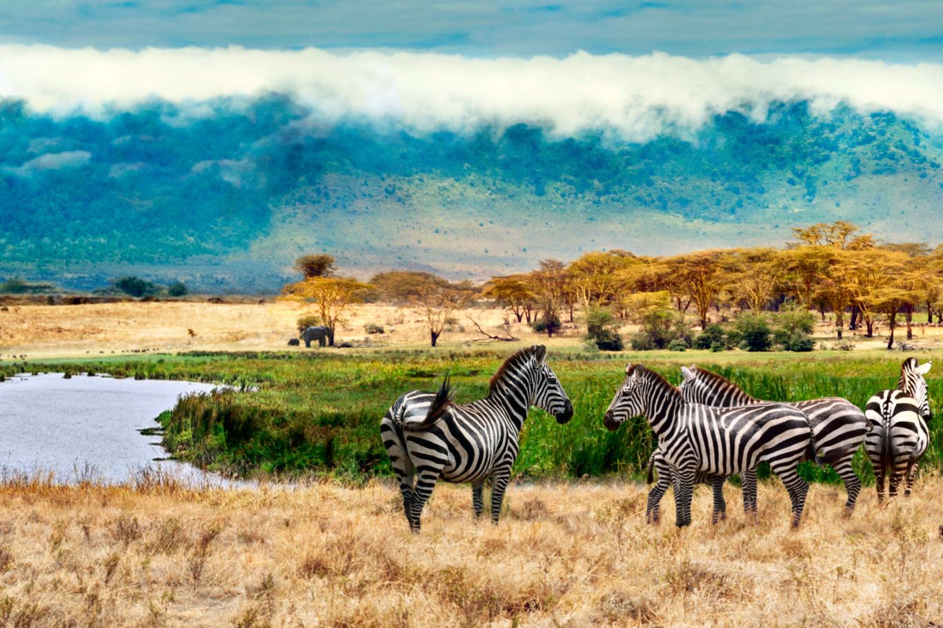 Manyara National Park