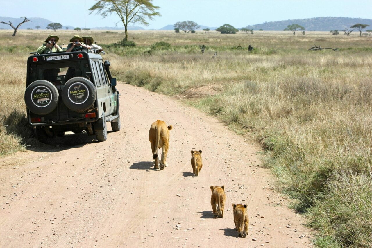 Safari photo in Tanzania
